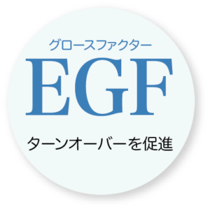 EGFターンオーバーを促進